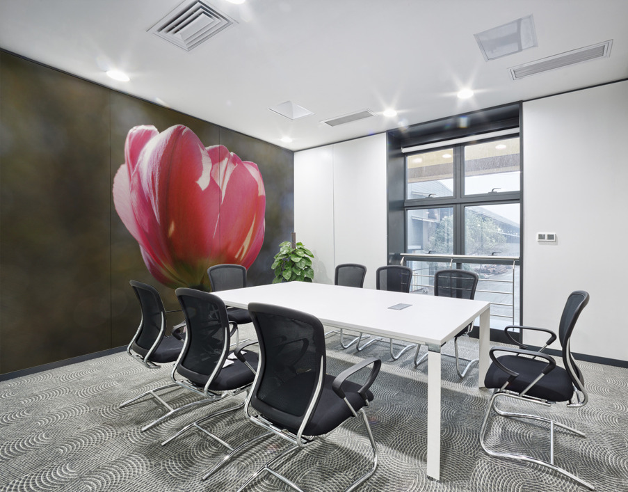 Showy Tulip Wall Printing