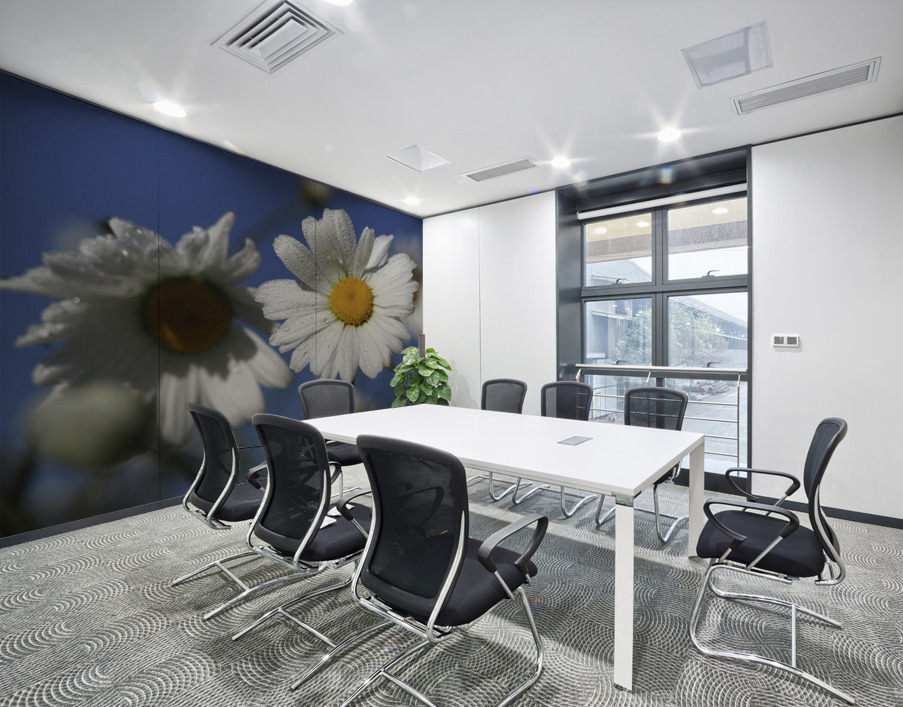 Early Morning Daisies Wall Printing