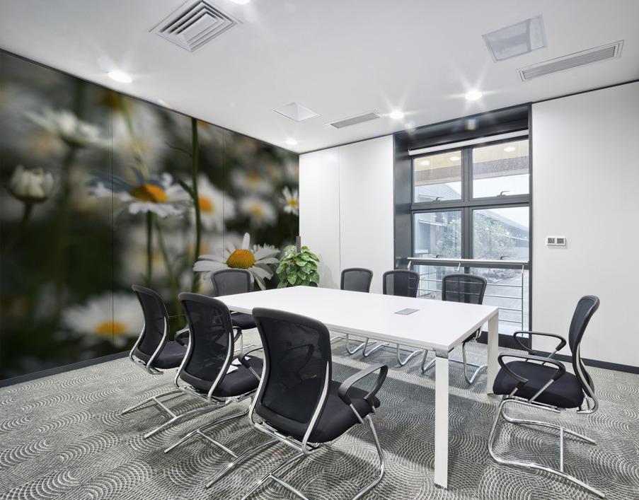 White Daisies Wall Printing