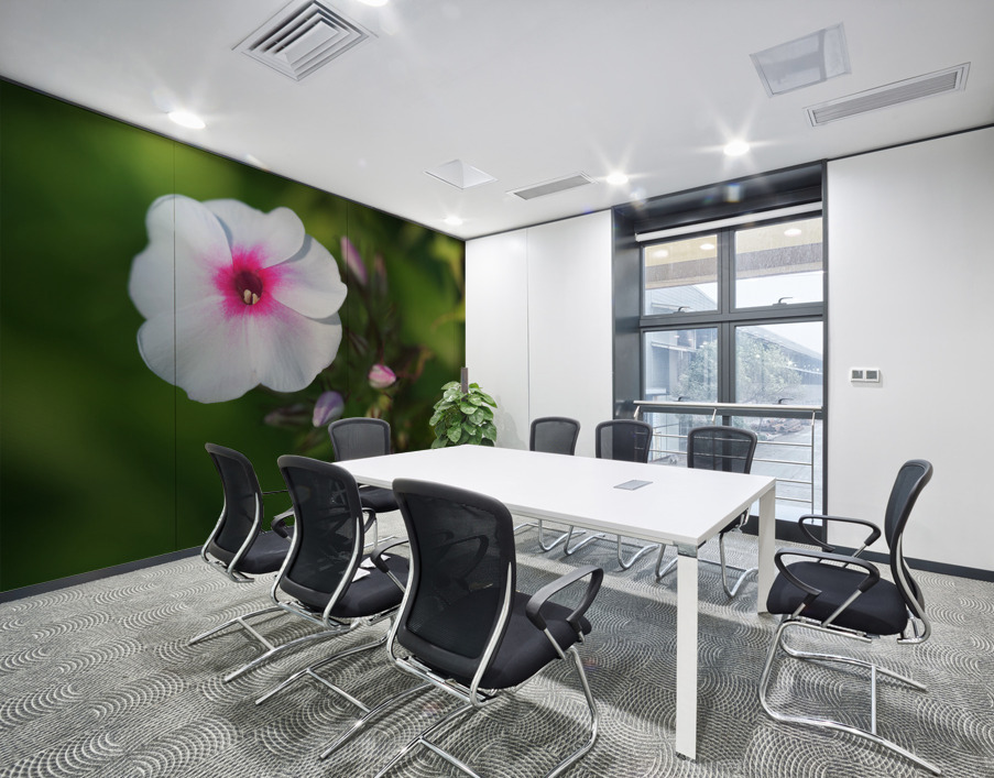 Bright Eyes Wall Printing