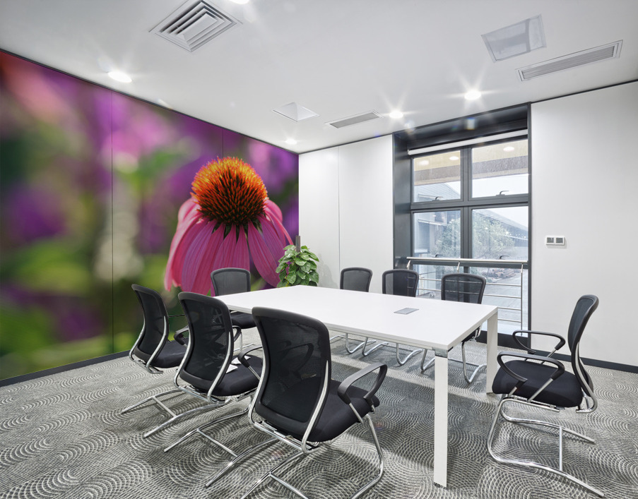 Purple Coneflower Wall Printing