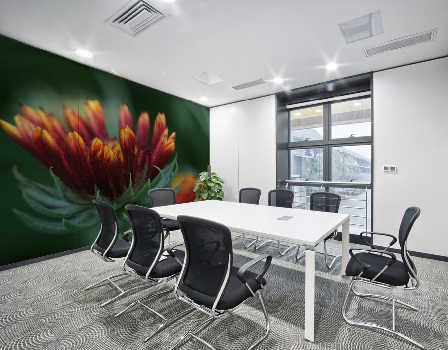 Firewheel Wall Printing