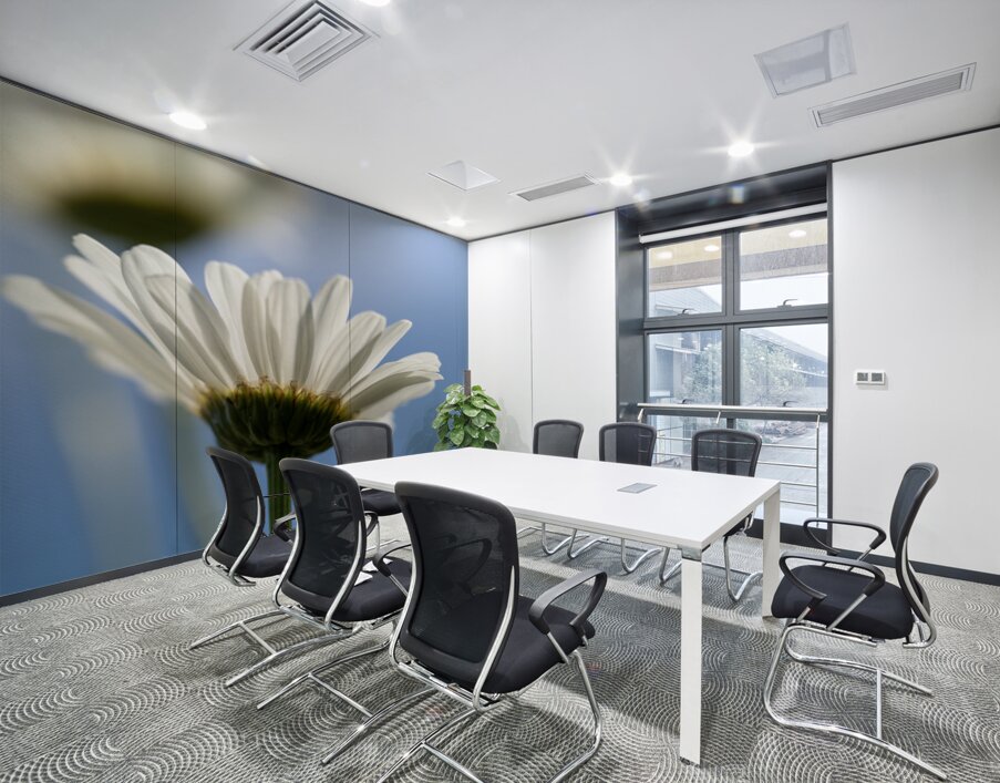 Oxeye Daisies Wall Printing