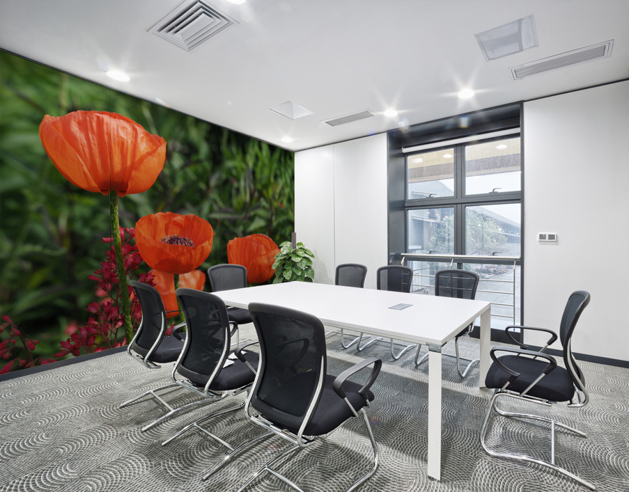 Poppies Wall Printing