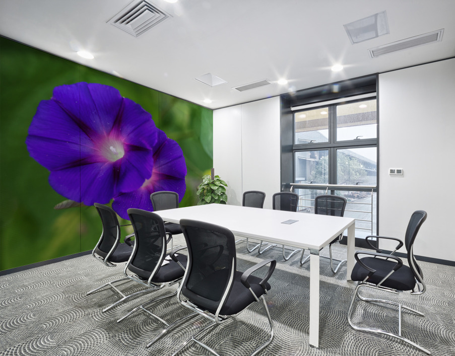 Purple Morning Glories Wall Printing