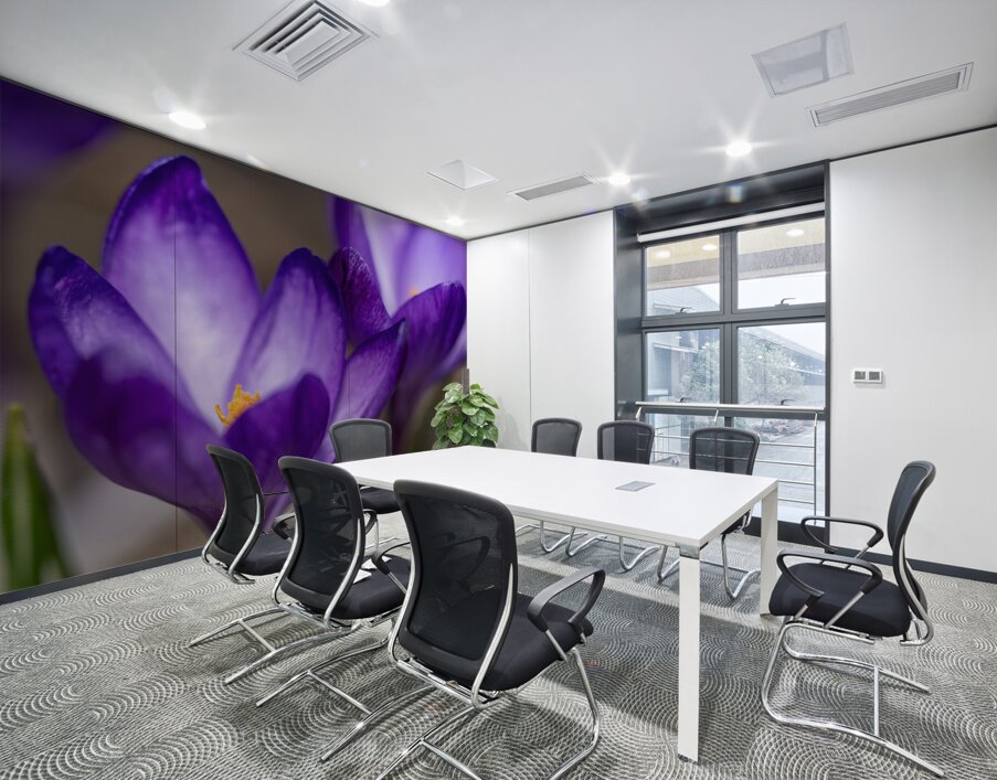 Crocus Closeup Wall Printing