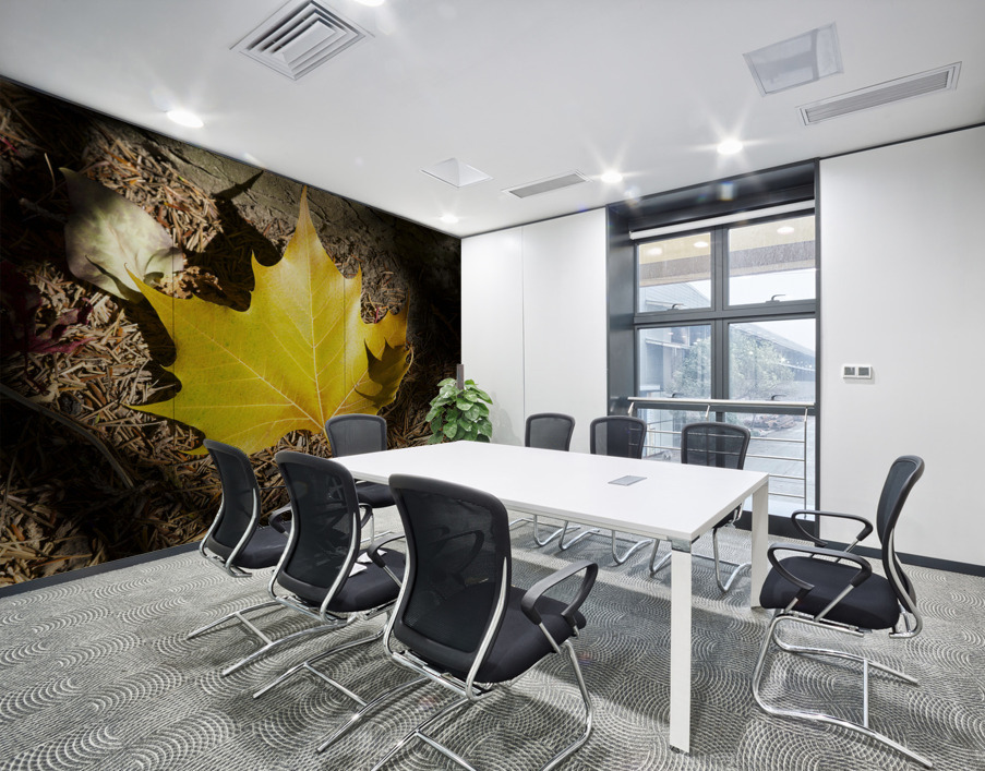 Single Maple Leaf Wall Printing