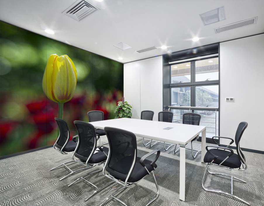 The Yellow One Wall Printing