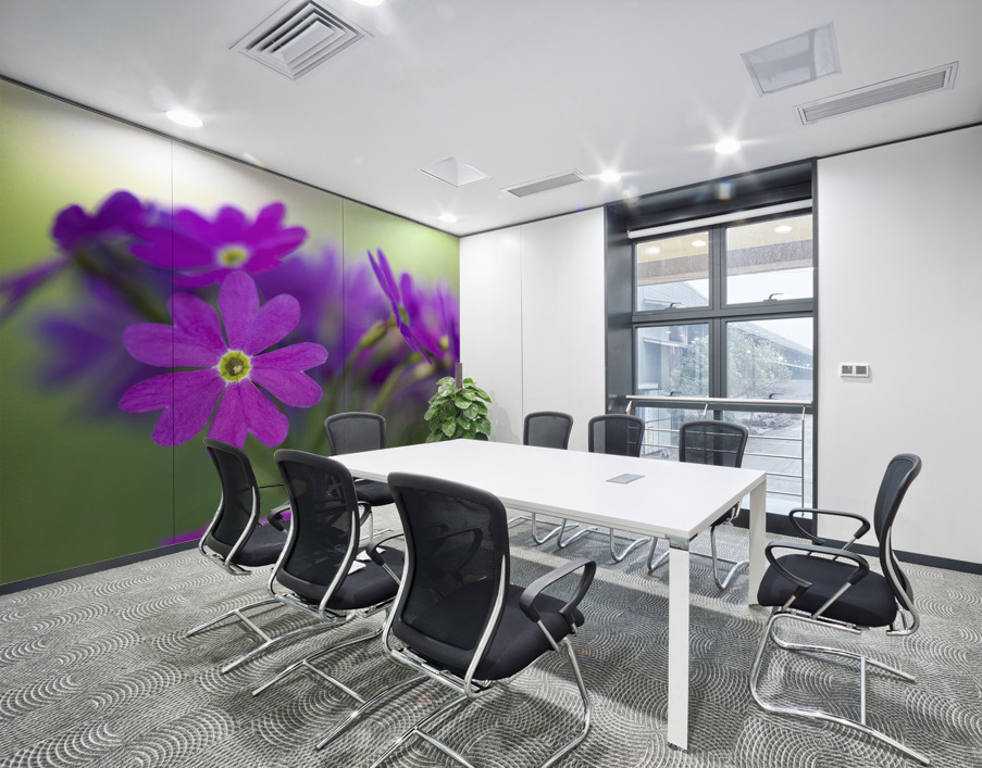 Primula Closeup Wall Printing