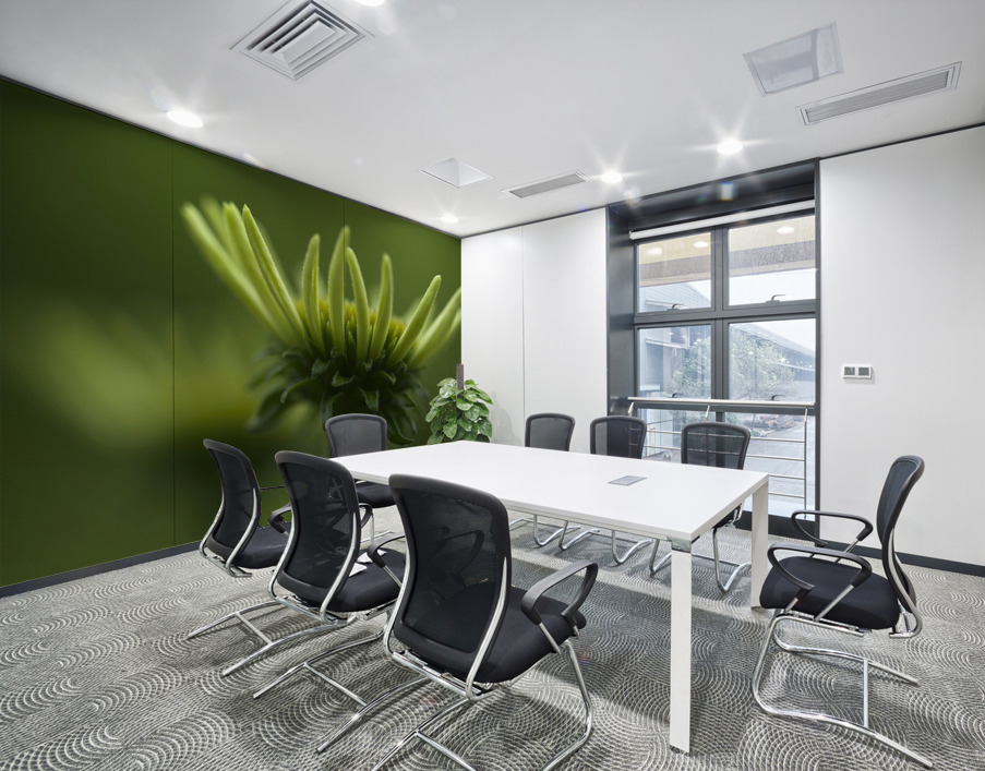 Blooming Coneflower Wall Printing