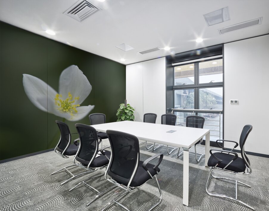 Lady in White Wall Printing