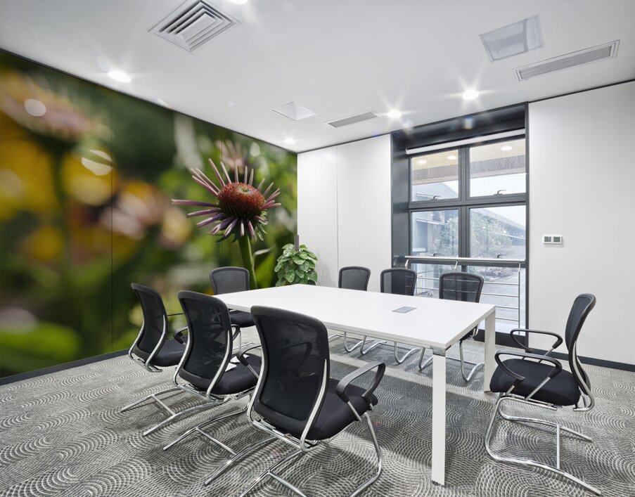 Early Morning Beauty Wall Printing