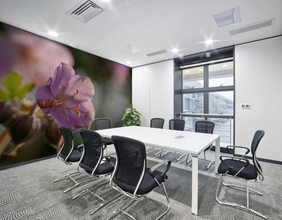 Catching Sun Rays Wall Printing