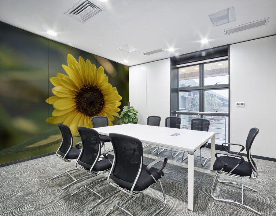 Common Sunflower Wall Printing