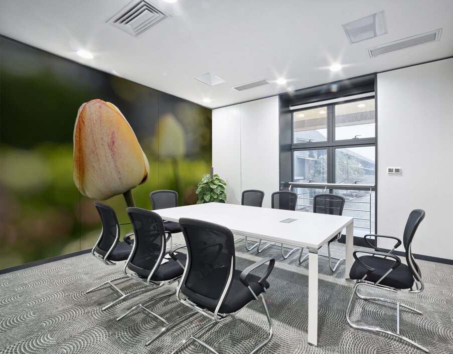 Yellow Tulip in the Field Wall Printing