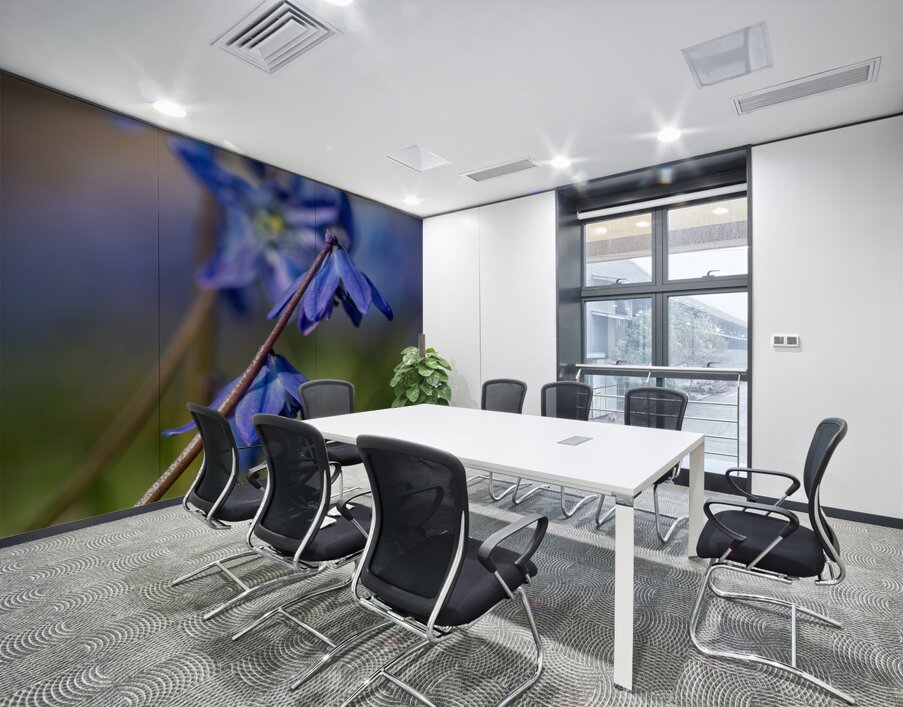 Sapphire Star Wall Printing