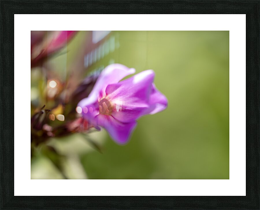 Good Day Picture Frame print