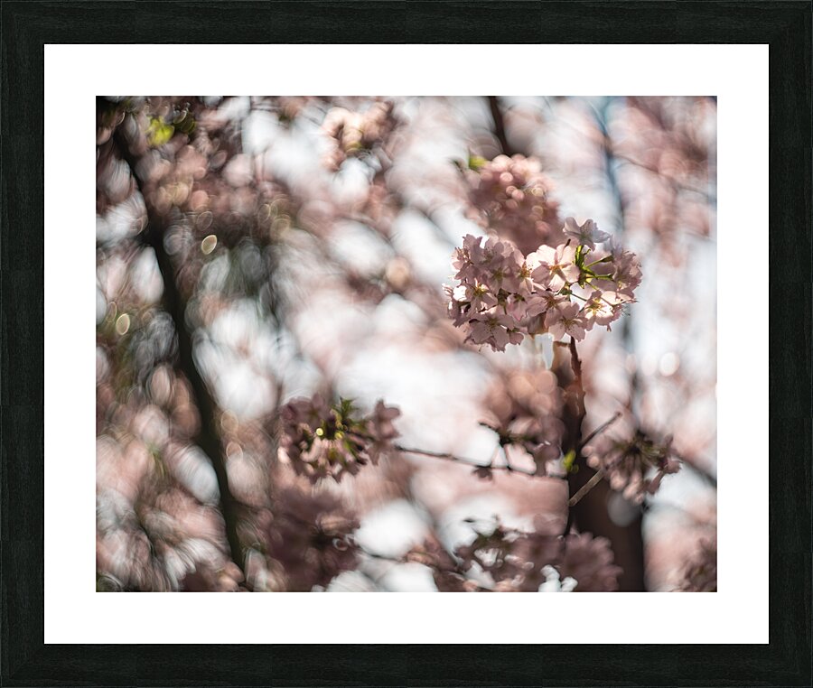 Sunny Serenity Picture Frame print