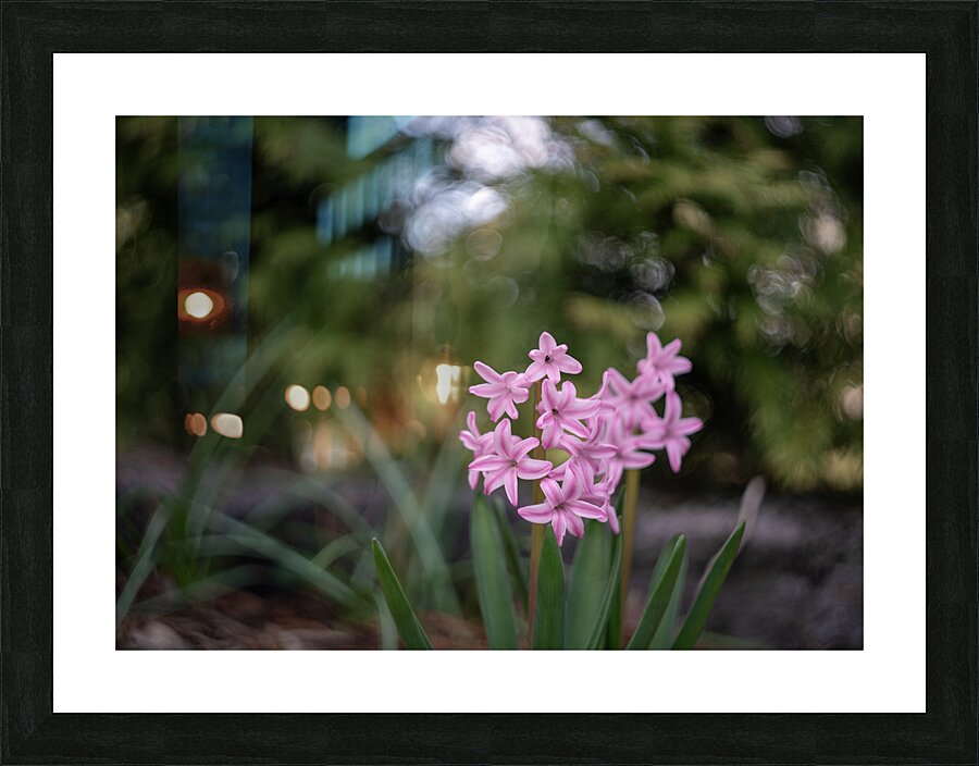 Pink Bliss Picture Frame print
