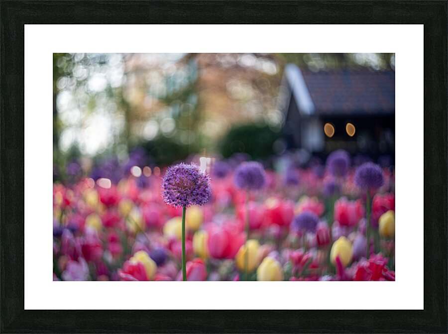  SBP5487 Picture Frame print