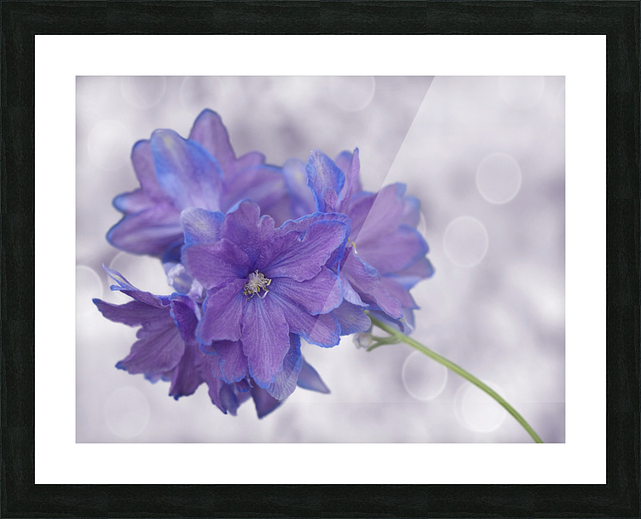 Pretty Me Picture Frame print