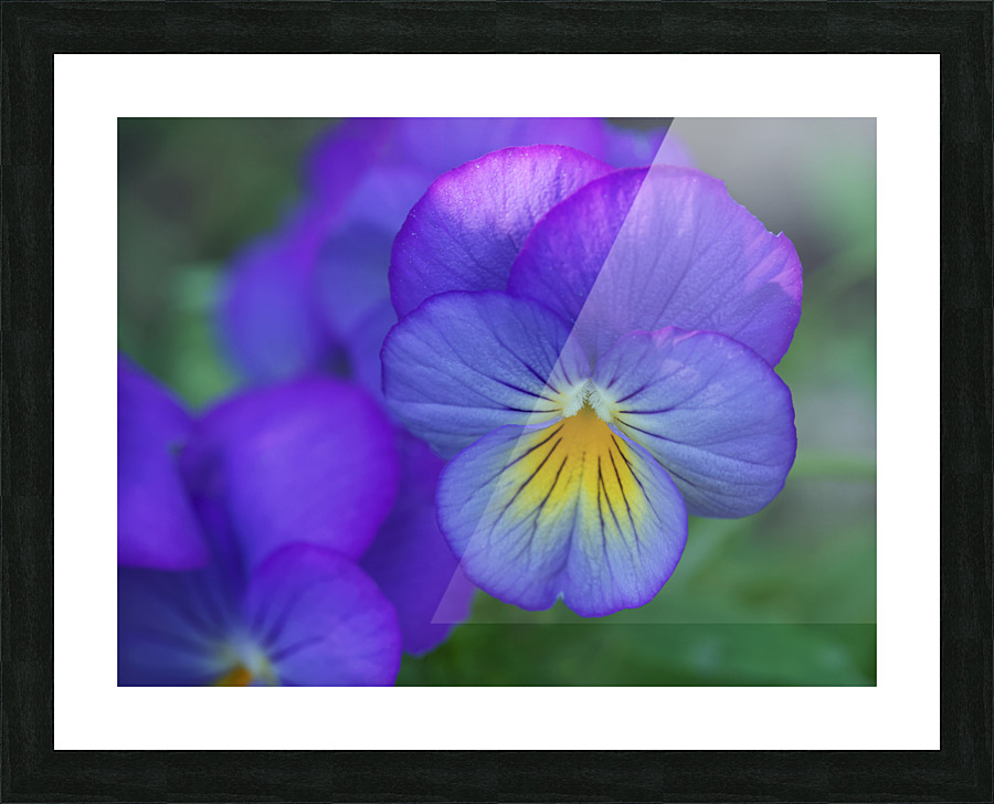 Blueness Picture Frame print