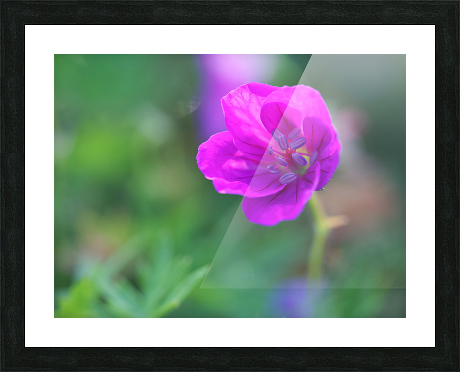 Little Bead Picture Frame print