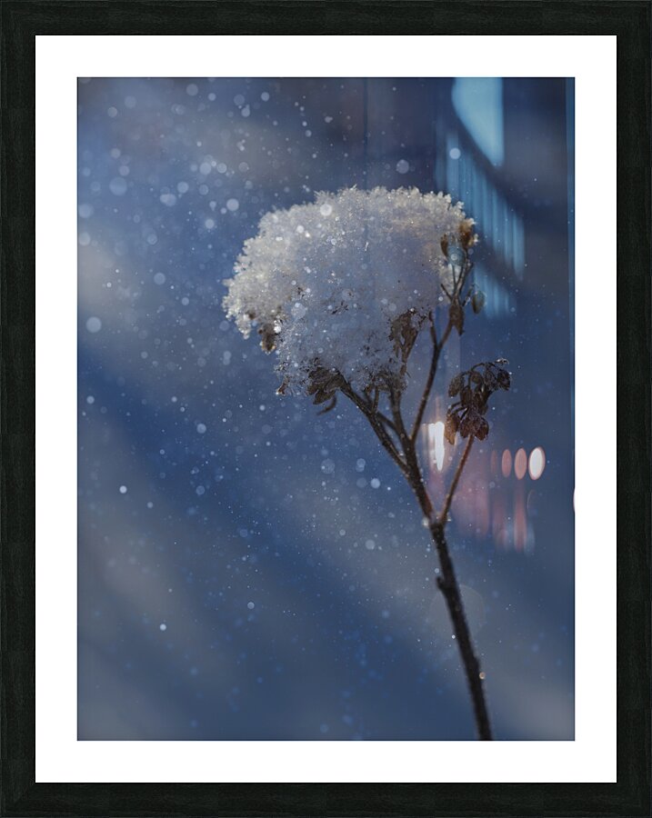 Frozen Top Picture Frame print