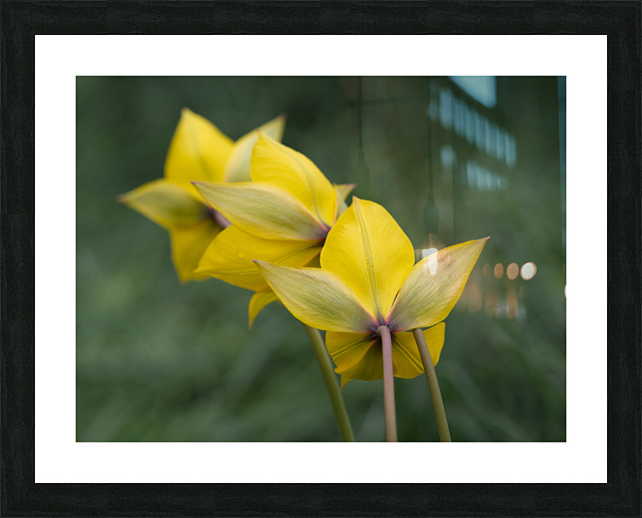 Spring Forward Picture Frame print