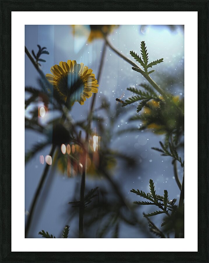 Ant Eye View Picture Frame print