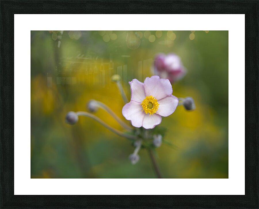 Pretty Lovely Picture Frame print