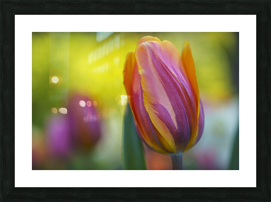 Freshness Overload Picture Frame print