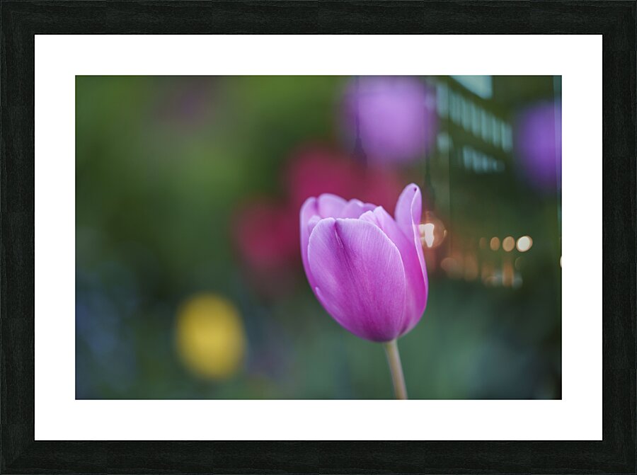 Soothing Space Picture Frame print