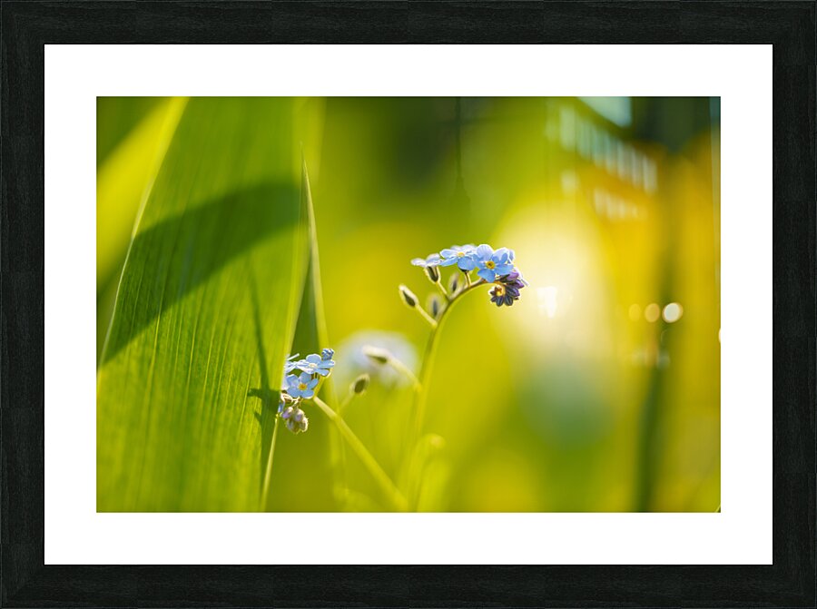 Here Comes the Sun Picture Frame print