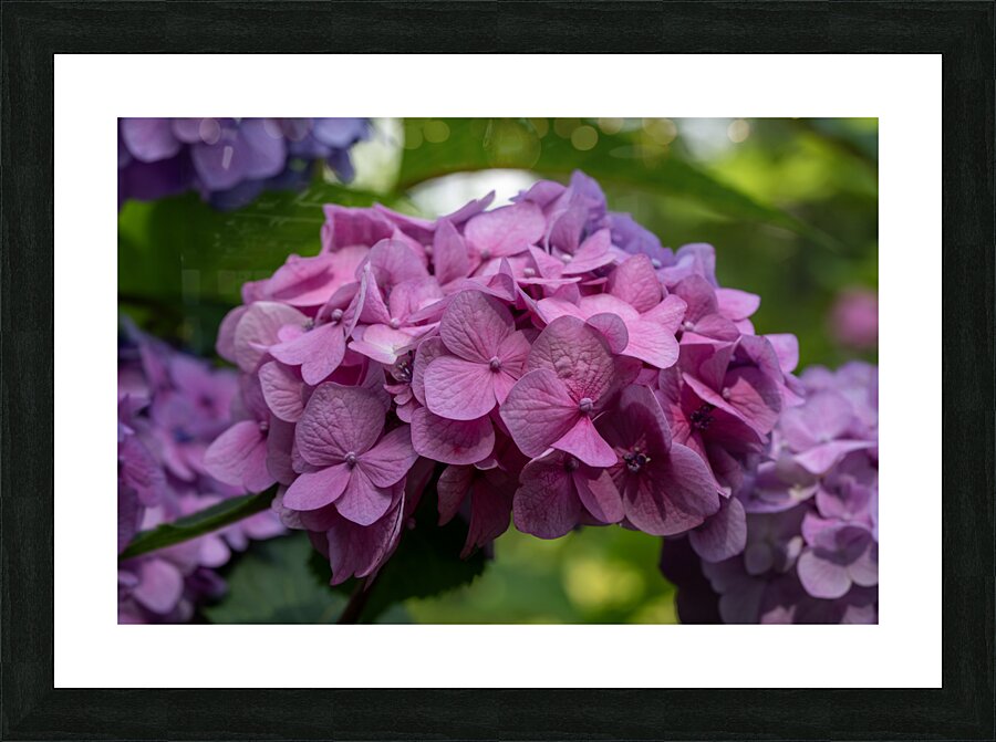 Awesome Pink Picture Frame print