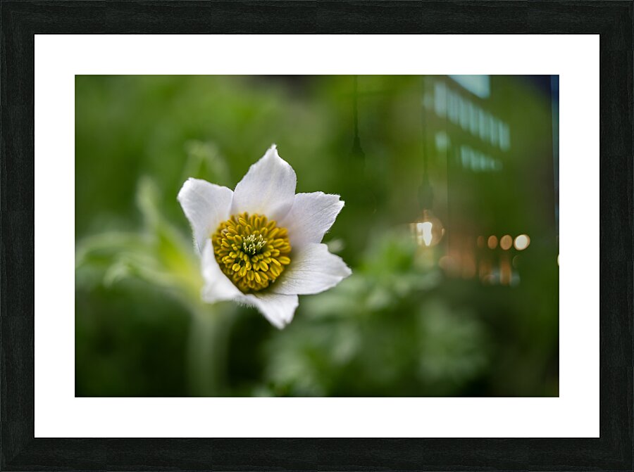 Darling 2 Picture Frame print