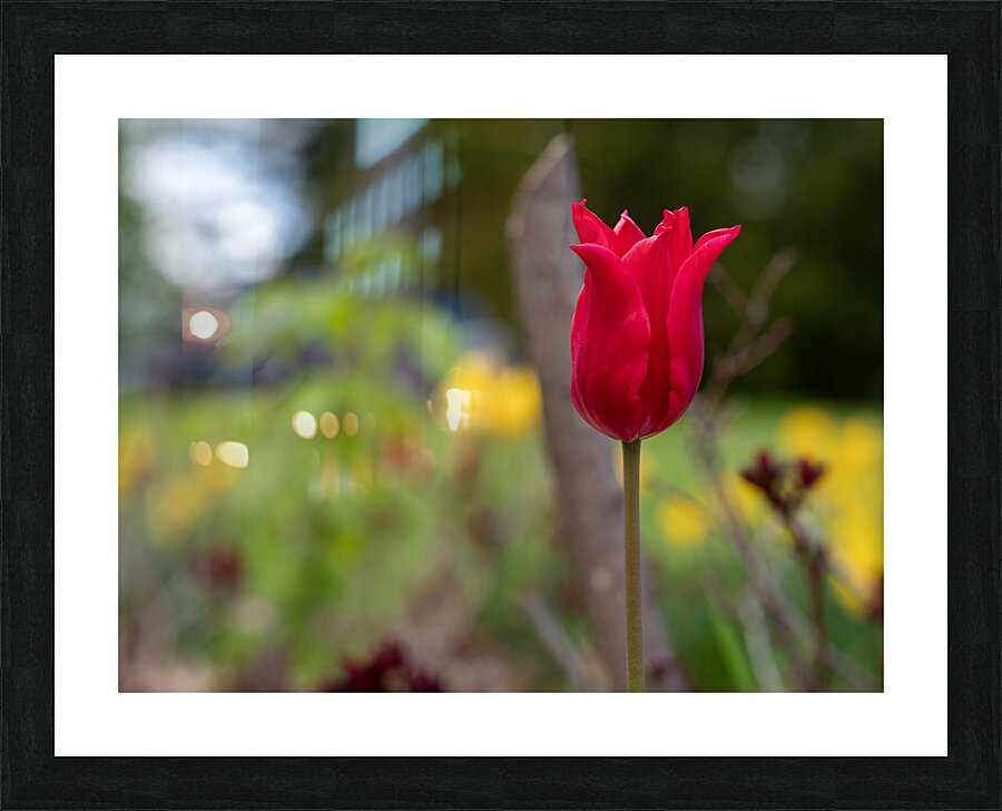 Her Majesty Picture Frame print