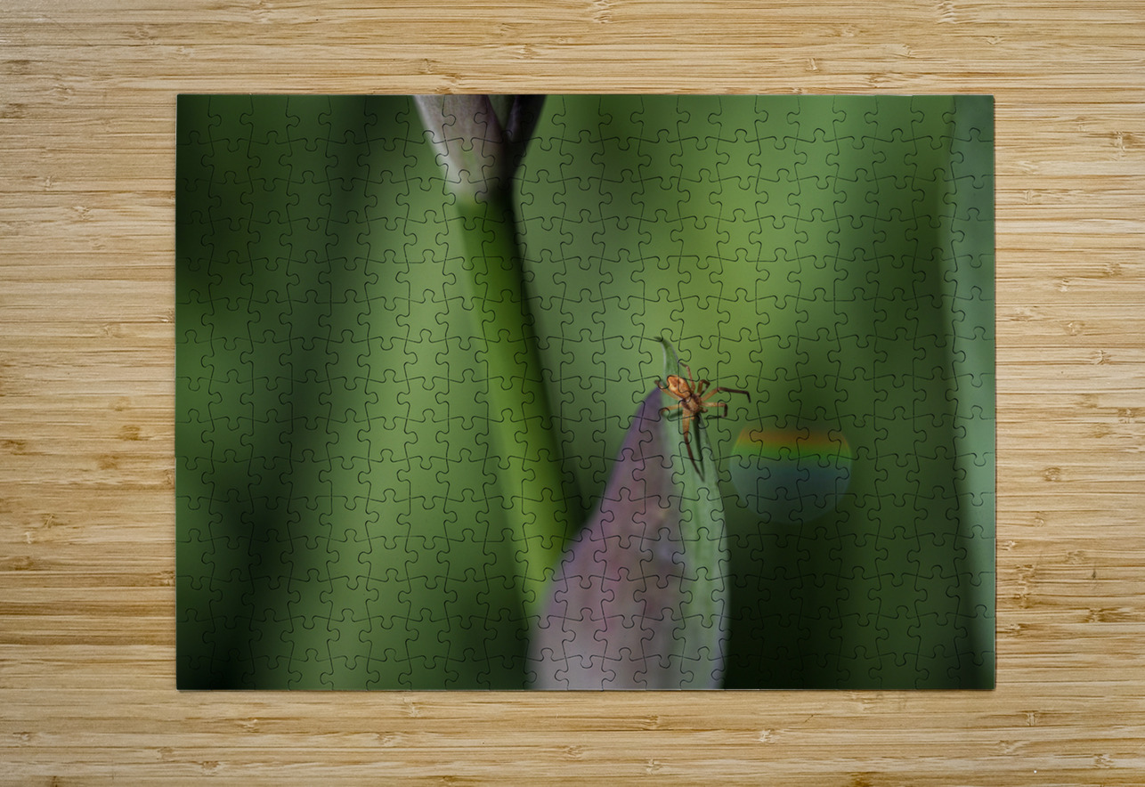 Spider with Rainbow Drop Suzanne Bonin Puzzle printing