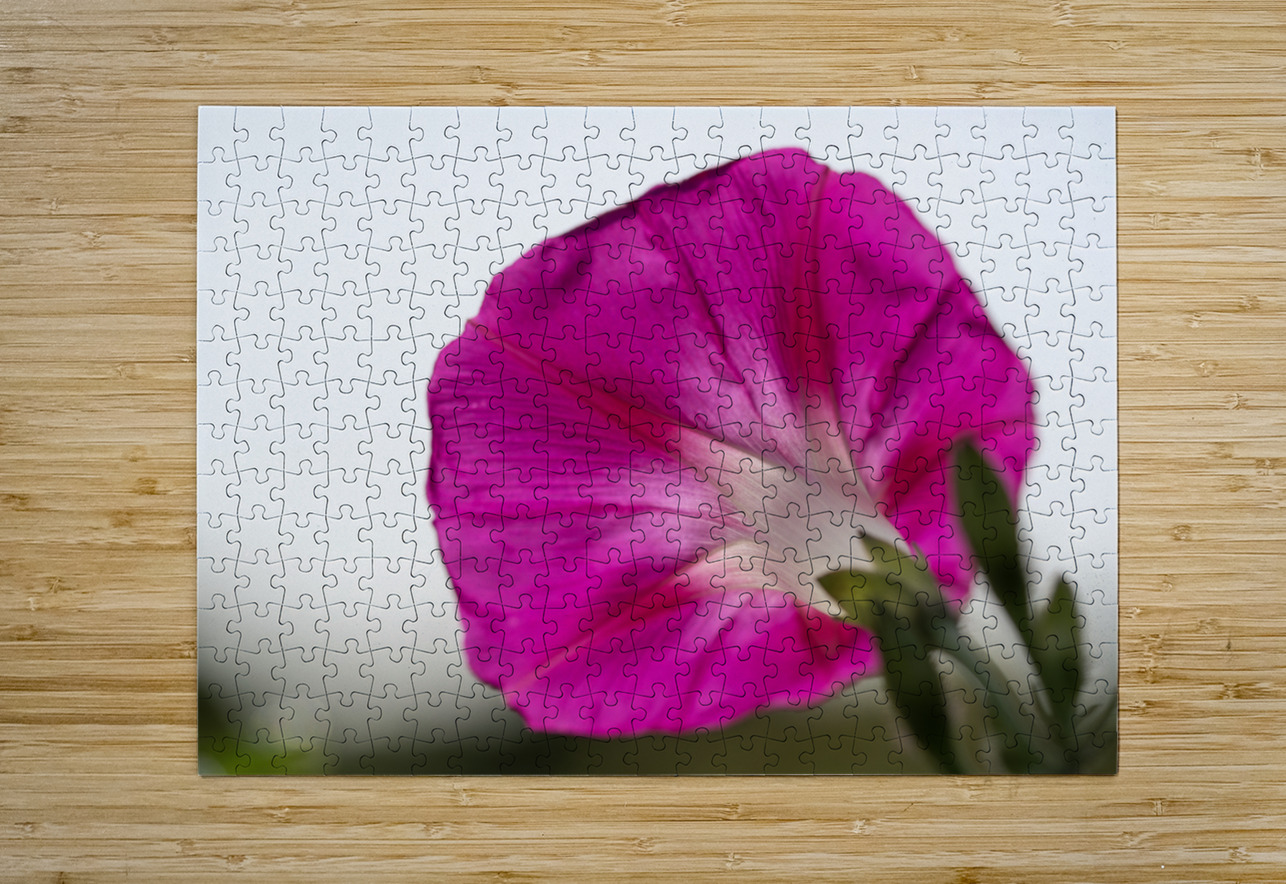 Anticipation Suzanne Bonin Puzzle printing