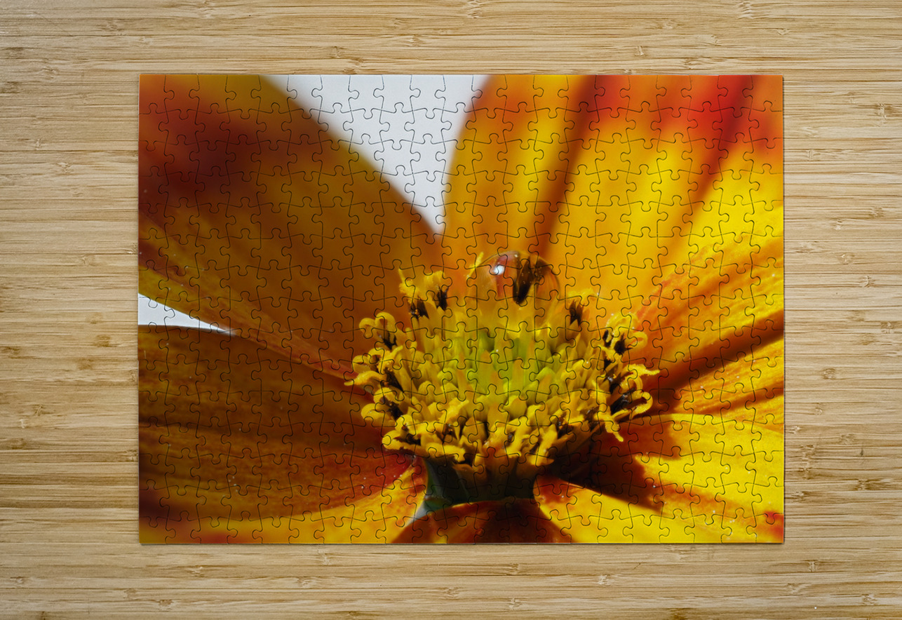 Bidens Ferulifolia Suzanne Bonin Puzzle printing