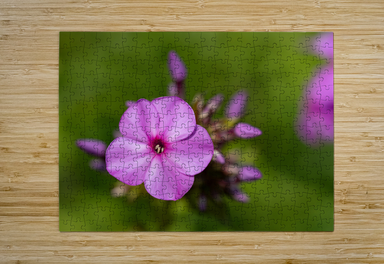 Call me Rosie Suzanne Bonin Puzzle printing