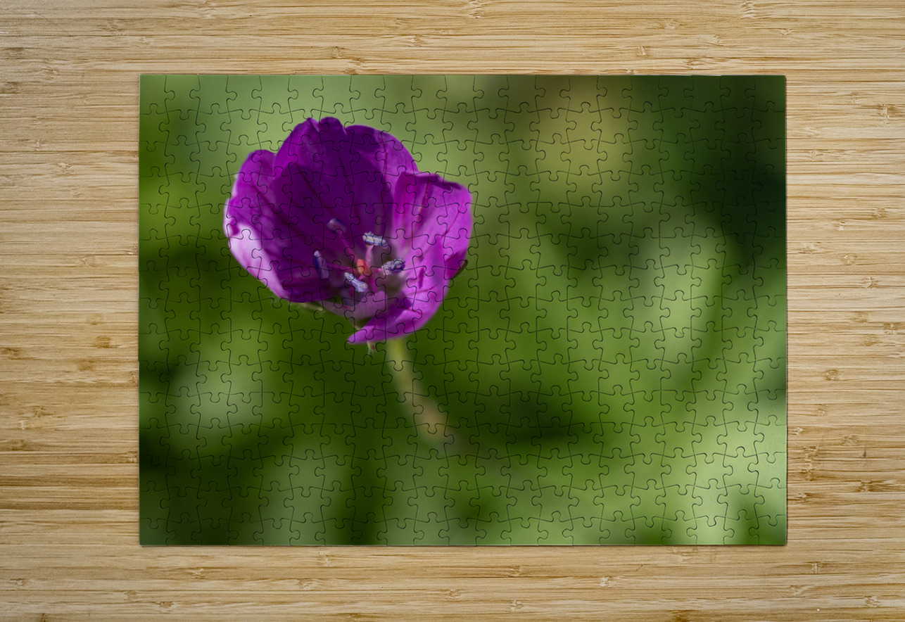 Little Beads Suzanne Bonin Puzzle printing