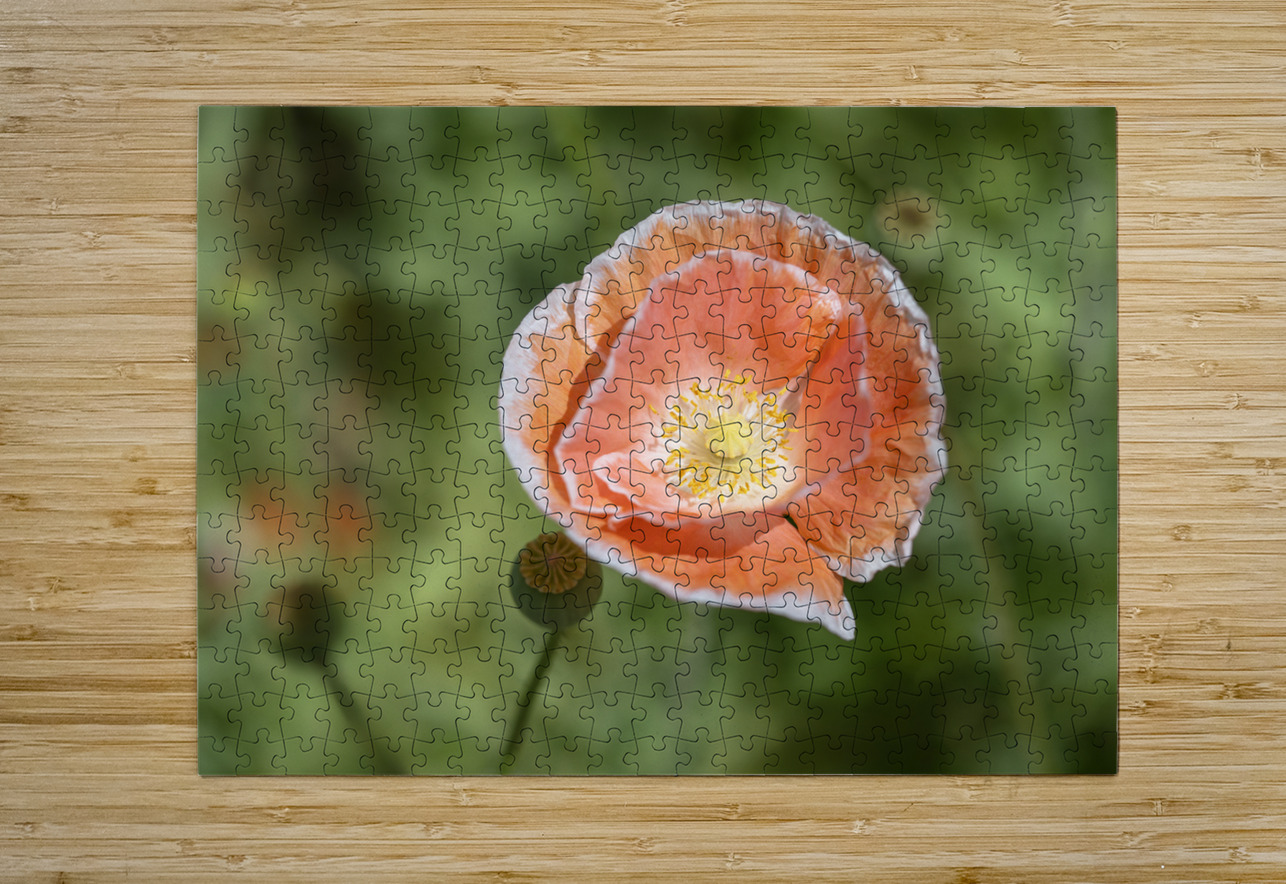 Love Me Suzanne Bonin Puzzle printing