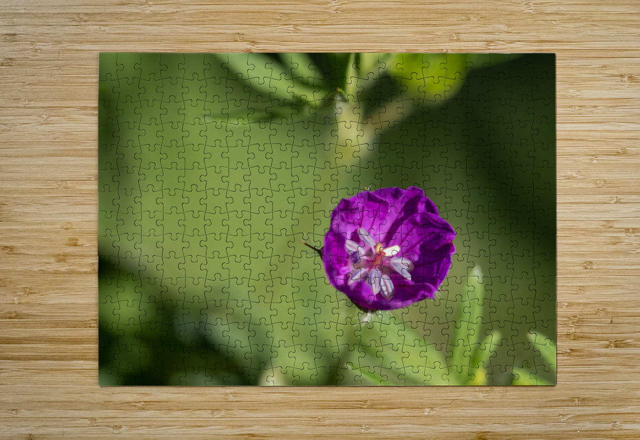 Lonely Suzanne Bonin Puzzle printing