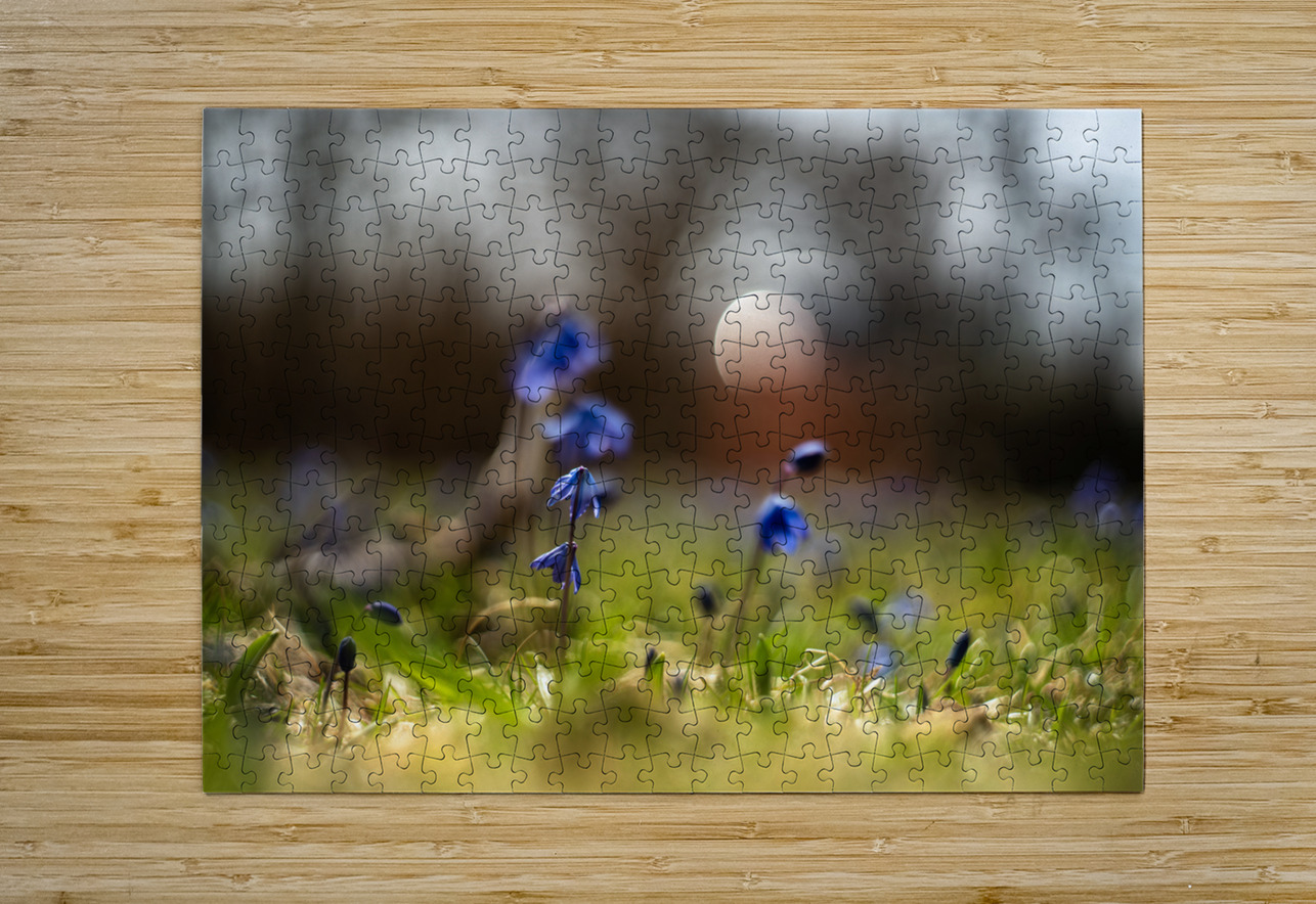 Siberian Squill Suzanne Bonin Puzzle printing