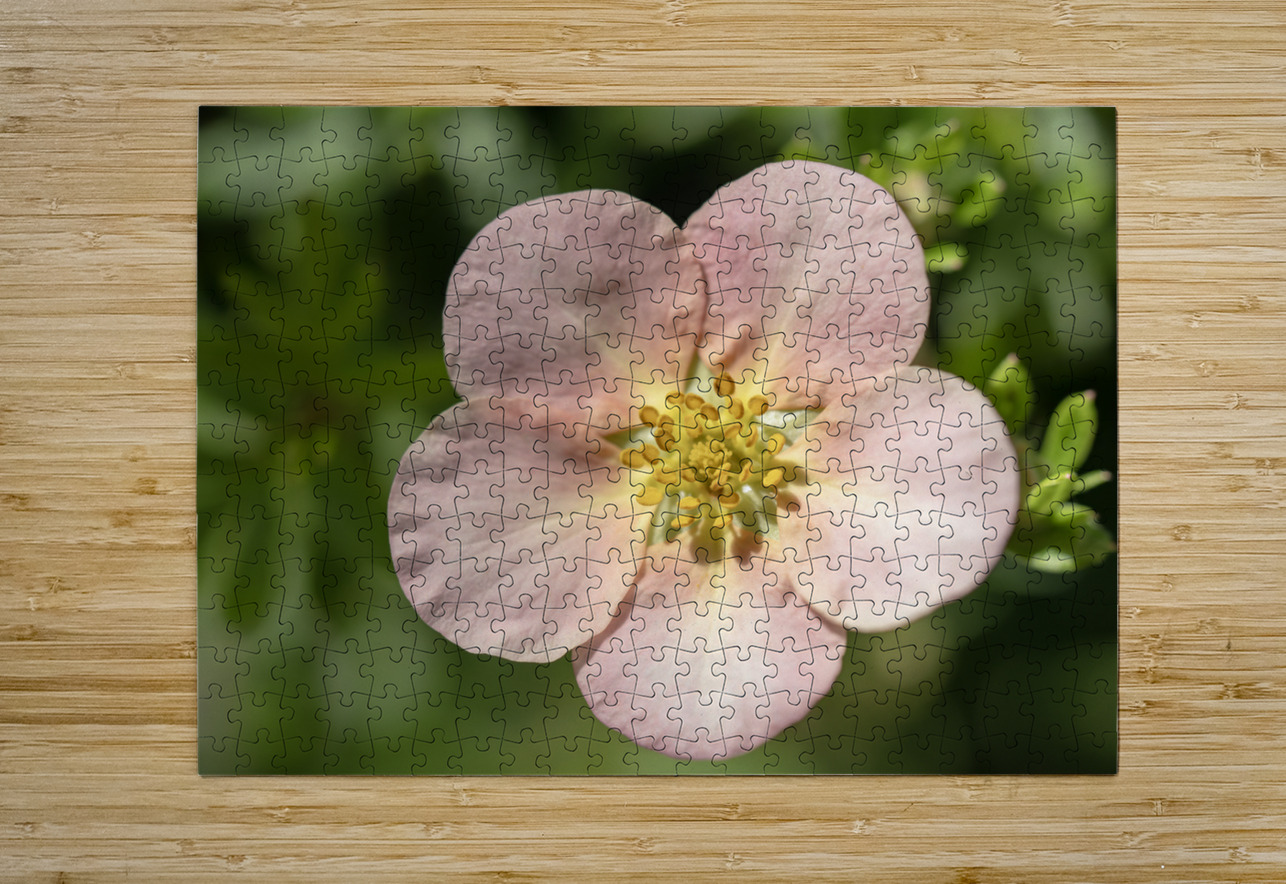 The Wild One Suzanne Bonin Puzzle printing