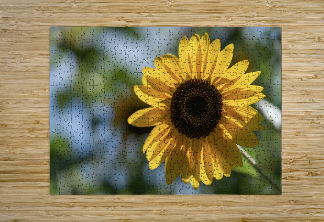 Sunlit Serenade Suzanne Bonin Puzzle printing