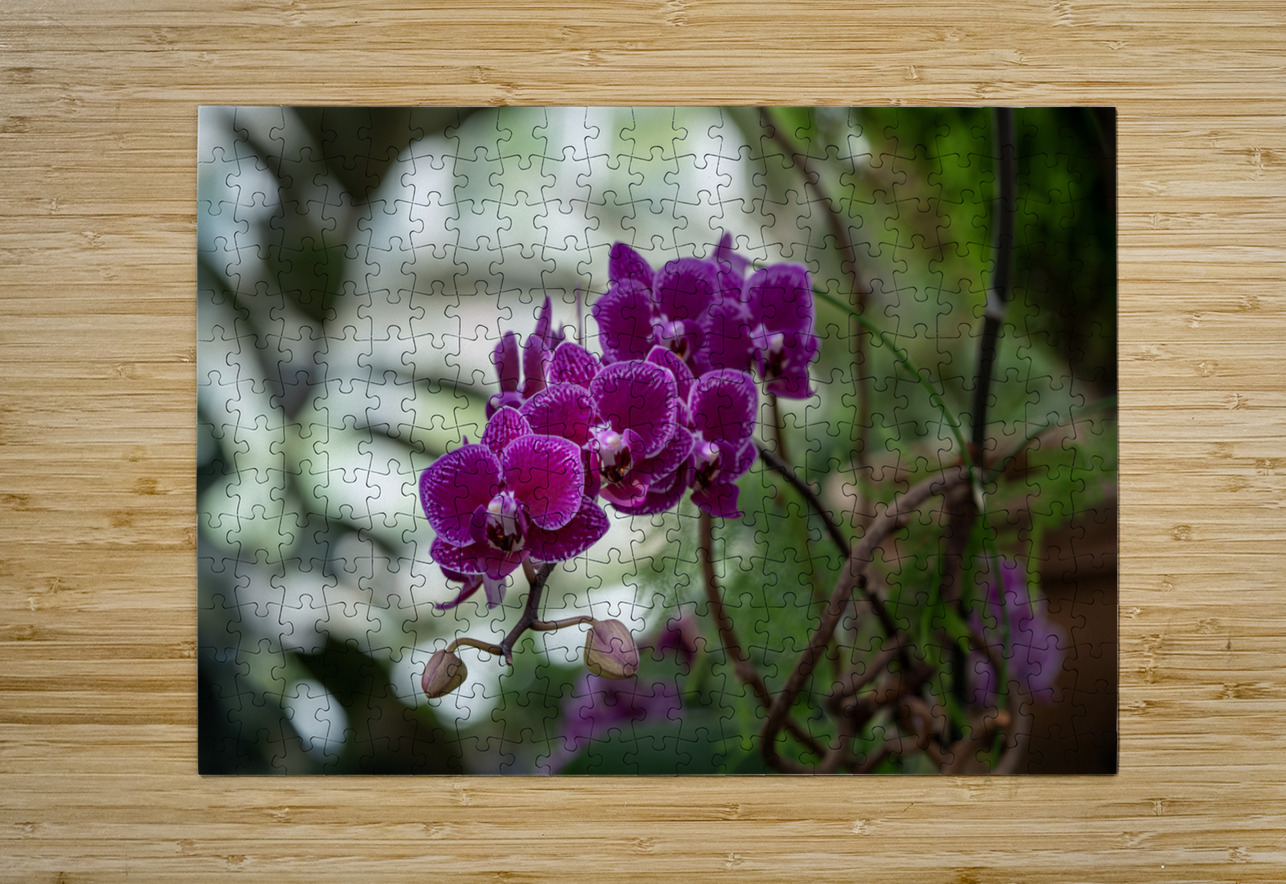 Velvet Violet Suzanne Bonin Puzzle printing