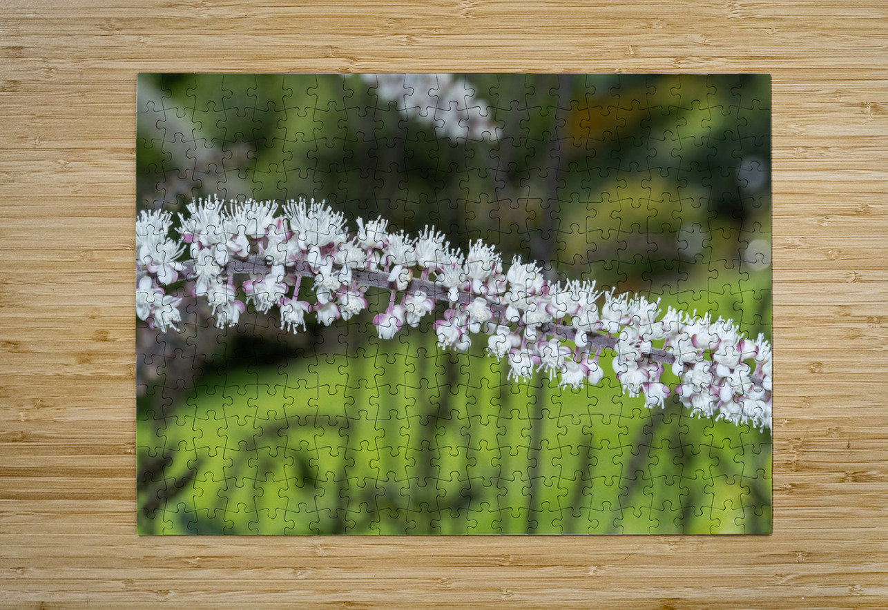 Fairy Candle Suzanne Bonin Puzzle printing