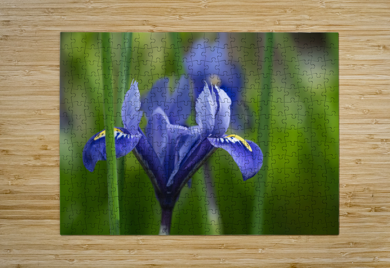 Velvet Blue Suzanne Bonin Puzzle printing